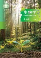 七年级上册
