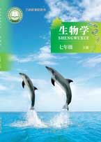 七年级下册