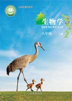 八年级上册