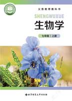 七年级上册