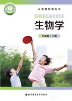 七年级下册