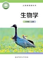 八年级上册
