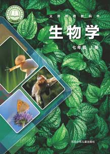 七年级上册