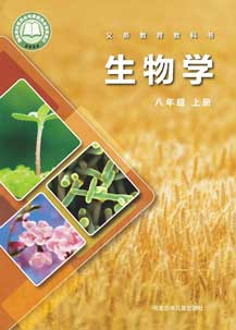 八年级上册