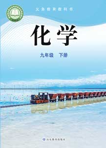 九年级下册