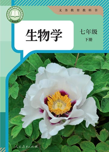 七年级下册