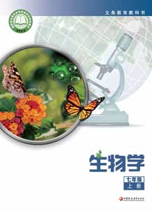 七年级上册