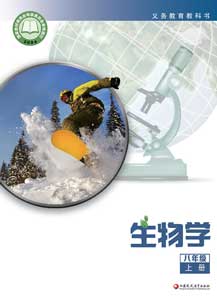 八年级上册