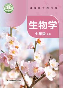 七年级上册