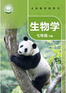 七年级下册
