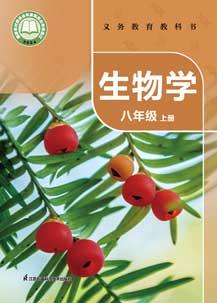 八年级上册