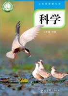 三年级下册