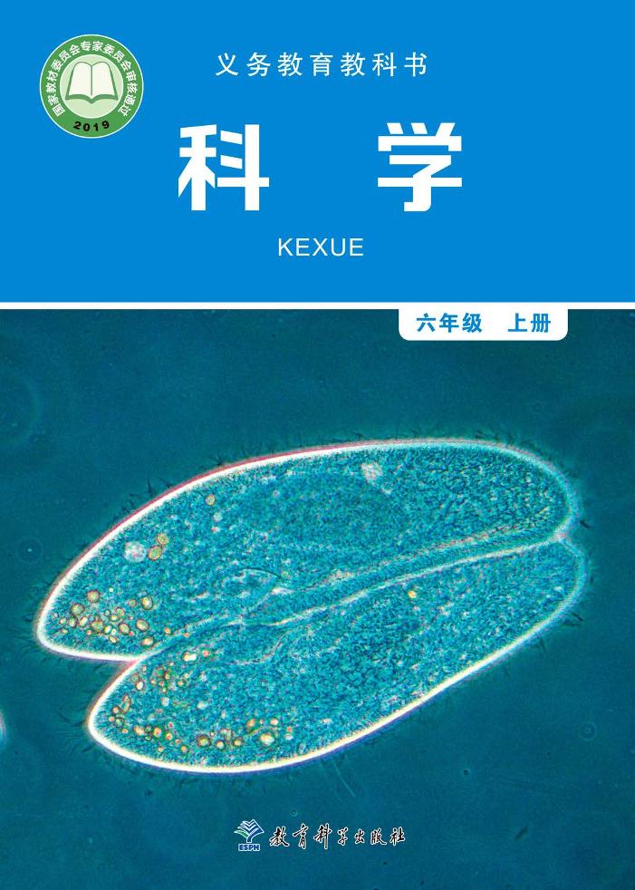 六年级上册