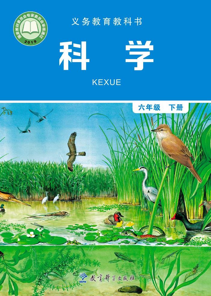 六年级下册
