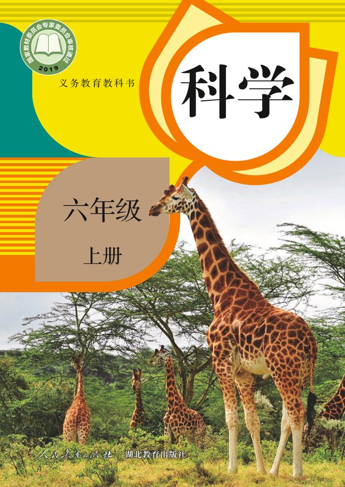 六年级上册